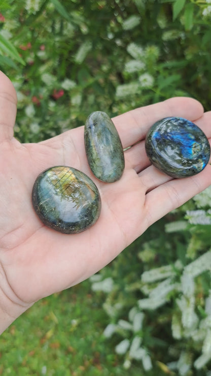 Gorgeous labrodite palm stones